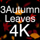 3 Autumn Leaves 4K Pack - VideoHive Item for Sale