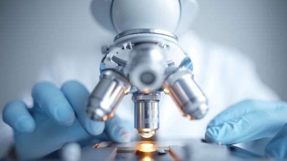 of Examining of Test Sample Under the Microscope alt