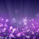 Rays of Light with Elegant Bokeh - VideoHive Item for Sale