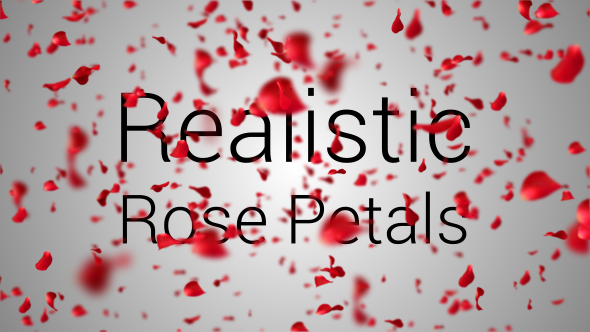 Realistic Rose Petals alt
