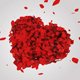 Heart Of Flying Petals - VideoHive Item for Sale