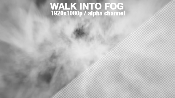 Fog - Walking into Fog alt