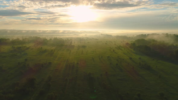 Flying Back and Up over Green Field and Trees in Misty Sunny Morning. Aerial View