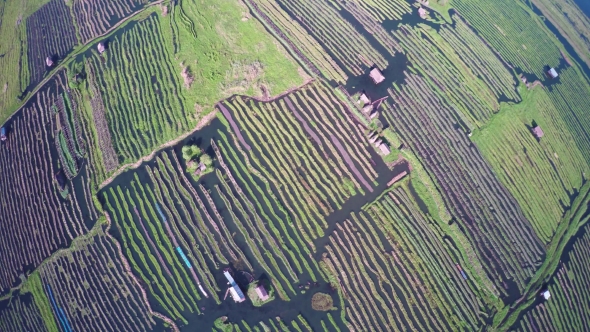Flying up over Floating Gardens on Inle Lake