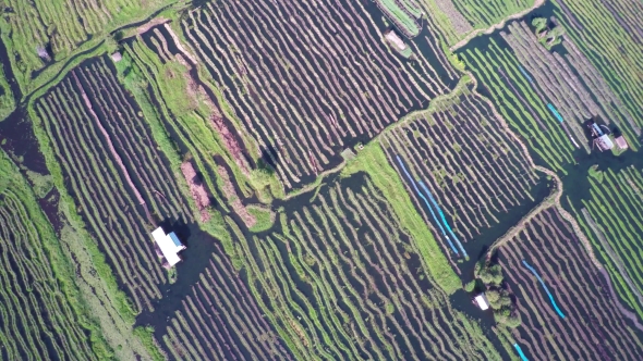 Flying Over Floating Gardens on Inle Lake, Myanmar