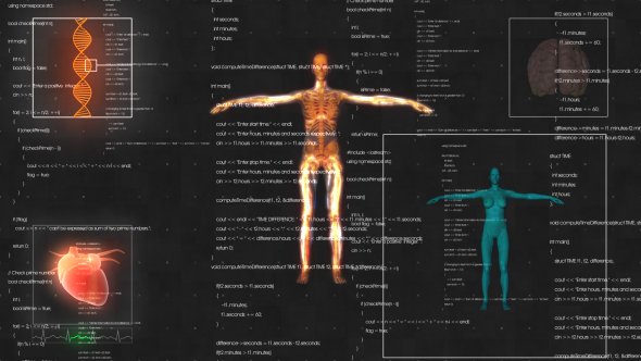 Female Anatomy Medical HUD Animation