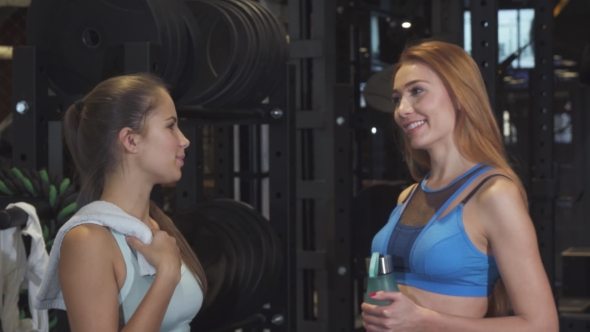 Cheerful Female Friends High Fiving After Finishing Working Out at the Gym Together