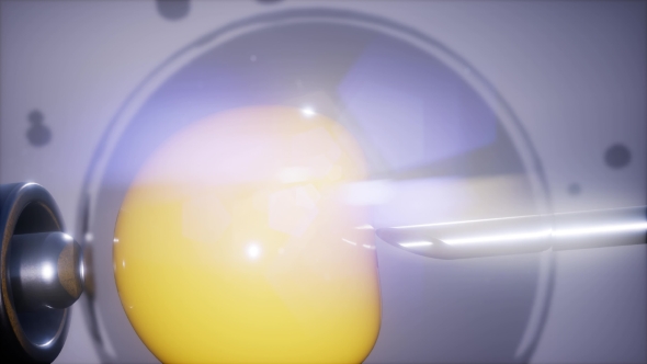 Artificial Insemination alt