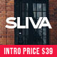 Sliva - Responsive Multi-Purpose Theme - ThemeForest Item for Sale
