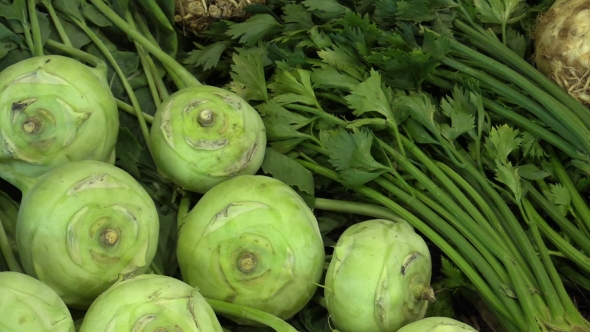 Kohlrabi Brassica Oleracea and Celery Root Apium Graveolens