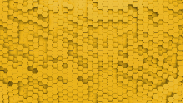 Yellow Hexagons Loop alt