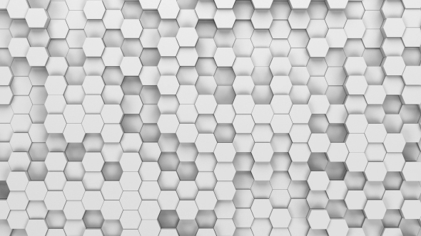 White Hexagons Loop