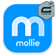 Gravity Forms Mollie Payment Add-On - CodeCanyon Item for Sale