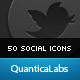 50 Stylish Social Icons - GraphicRiver Item for Sale