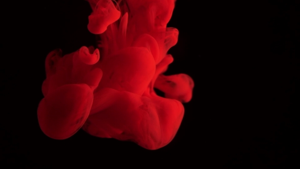 Colored Ink Dropped Into Water. Lovely Bright Metamorphosis. Cuttlefish Ink Splatter