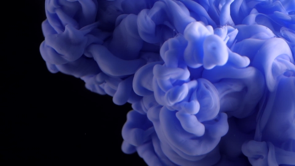 Colored Purple Ink Dropped Into Water. Lovely Bright Metamorphosis. Cuttlefish Ink Splatter. Volume