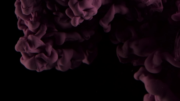 Colored Red Lilac Ink Dropped Into Water. Lovely Bright Metamorphosis. Cuttlefish Ink Splatter