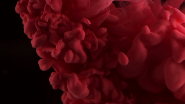 Colored Blood Ink Dropped Into Water. Lovely Bright Metamorphosis. Cuttlefish Ink Splatter. Volume