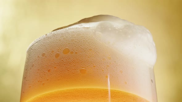 Foamy Beer in Glass Closeup