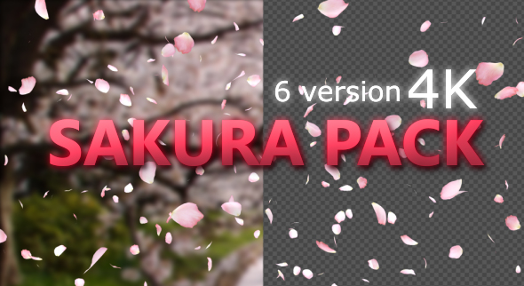 Sakura alt