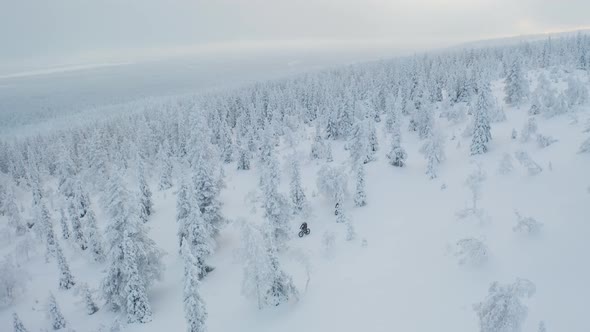 Aerial view of three people on fatbikes going downhill through snowy forest in Lapland Finland.