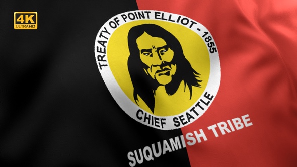 Suquamish Tribe Flag / Native American Flag - 4K