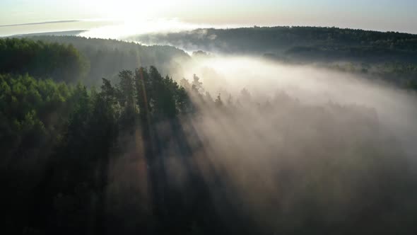 Mist over the river with sunrays at sunrise, aerial view