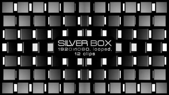 Silver Box VJ Pack