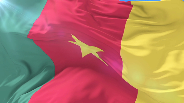 Cameroon Flag Waving