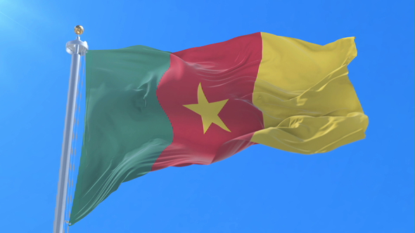 Cameroon Flag Waving