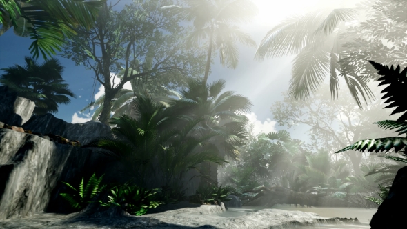 Sunset Beams Through Palm Trees alt