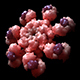 Molecule : Apopstomes - Human Apaf-1 - 3DOcean Item for Sale