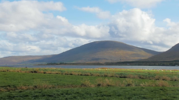 Mountain, River and Green Pastures in Sunny Day, White Sheep Are Grazing in a Distance