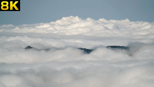 Clouds Covering Rainforest