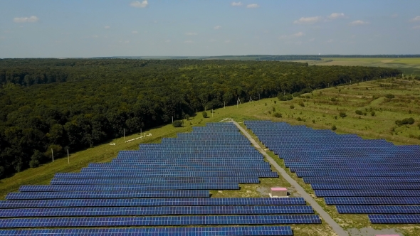 Solar Panels In The Field