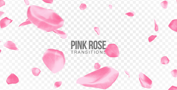 Pink Rose Transitions alt
