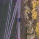 The Car Goes on a Country Road Along the Forest - VideoHive Item for Sale