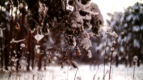 View of the Glade in the Winter Forest with Children Playing. alt