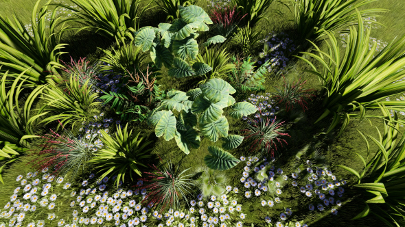 Flowers and Leaves Background alt