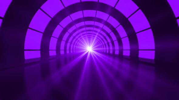Purple Tunnel Loop alt