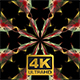 Colorful Animated Plexus Kaleidoscope - VideoHive Item for Sale