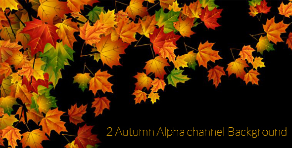 Autumn Background 1