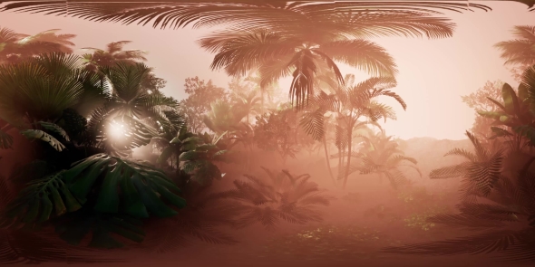 VR360 Camera Moving in a Tropical Jungle Rainforest alt