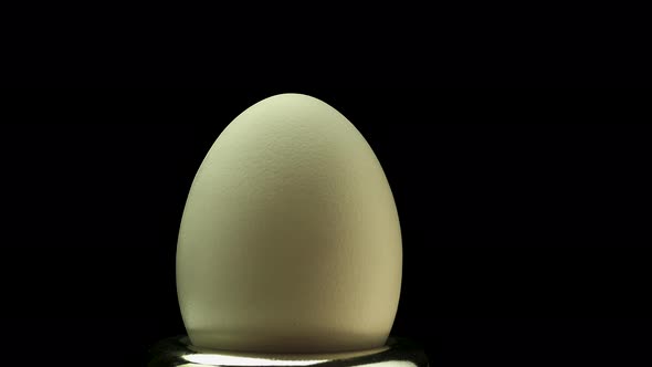 Chicken Egg Spinning On A Black Background Close Up. Collect The Space Egg In The Shell.