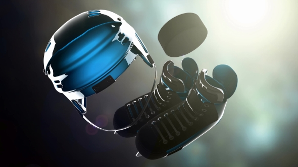 Hockey Puck and Hockey Equipment alt