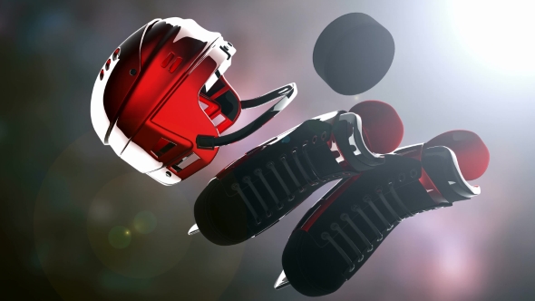 Hockey Puck and Hockey Equipment alt