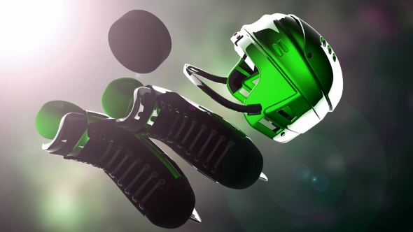 Hockey Puck and Hockey Equipment alt