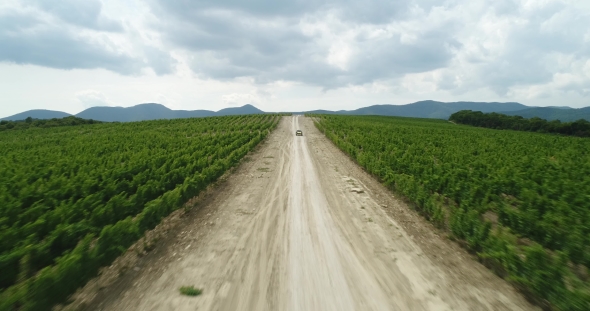 Rally, Buggy, Off-road. The Mountains