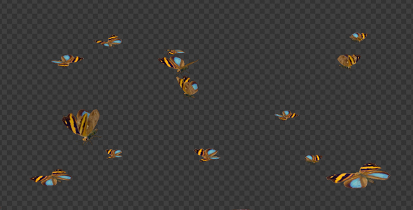 Butterfly Swarm - Callicore Aegina - Pack of 2 alt