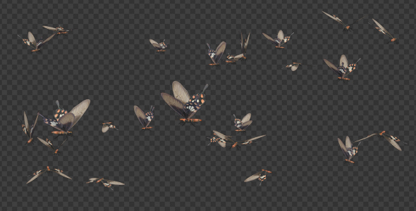 Butterfly Swarm - Rose Swallowtail - Pack of 2 alt